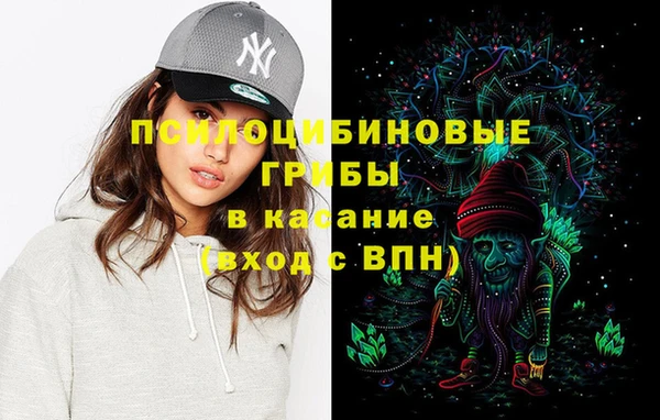 соль курить ск Ельня
