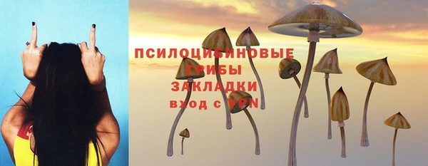 соль курить ск Ельня