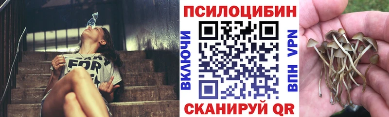 Галлюциногенные грибы Psilocybine cubensis  shop наркотические препараты  Свирск 